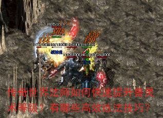 传奇世界法师如何快速提升兽灵术等级?有哪些高效练法技巧? 传奇世界法师如何快速提升兽灵术等级?有哪些高效练法技巧?