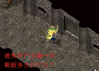 迷失SF尸王殿一次刷新多少只尸王? 迷失SF尸王殿一次刷新多少只尸王?