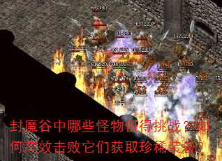 封魔谷中哪些怪物值得挑战?如何高效击败它们获取珍稀装备? 封魔谷中哪些怪物值得挑战?如何高效击败它们获取珍稀装备?