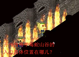 开州传奇中毒蛇山谷的入口具体位置在哪儿? 开州传奇中毒蛇山谷的入口具体位置在哪儿?