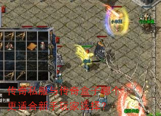 传奇私服与传奇盒子哪个更适合新手玩家选择? 传奇私服与传奇盒子哪个更适合新手玩家选择?