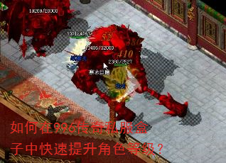 如何在996传奇私服盒子中快速提升角色等级? 如何在996传奇私服盒子中快速提升角色等级?