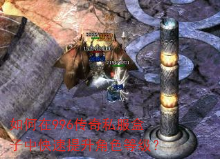 如何在996传奇私服盒子中快速提升角色等级? 如何在996传奇私服盒子中快速提升角色等级?