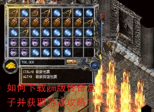 如何下载gm版传奇盒子并获取游戏攻略? 如何下载gm版传奇盒子并获取游戏攻略?