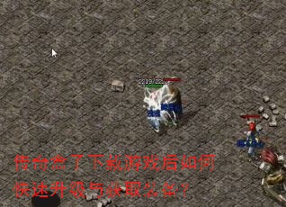 传奇盒子下载游戏后如何快速升级与获取装备? 传奇盒子下载游戏后如何快速升级与获取装备?