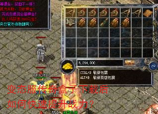 变态服传奇盒子下载后如何快速提升战力? 变态服传奇盒子下载后如何快速提升战力?