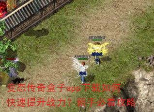 变态传奇盒子app下载如何快速提升战力?新手必看攻略 变态传奇盒子app下载如何快速提升战力?新手必看攻略
