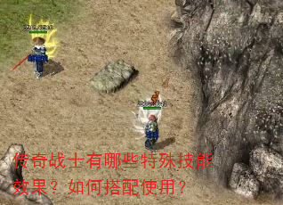 传奇战士有哪些特殊技能效果?如何搭配使用? 传奇战士有哪些特殊技能效果?如何搭配使用?
