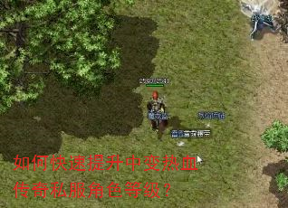如何快速提升中变热血传奇私服角色等级? 如何快速提升中变热血传奇私服角色等级?