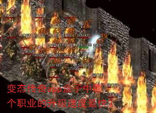 变态传奇app盒子中哪个职业的升级速度最快? 变态传奇app盒子中哪个职业的升级速度最快?