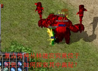 复古传神丛林迷宫究竟位于何处?如何探索其中奥秘? 复古传神丛林迷宫究竟位于何处?如何探索其中奥秘?