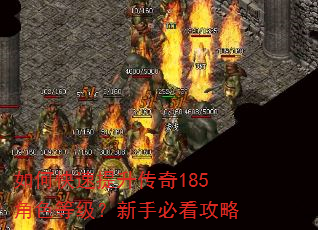 如何快速提升传奇185角色等级?新手必看攻略 如何快速提升传奇185角色等级?新手必看攻略