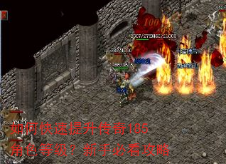 如何快速提升传奇185角色等级?新手必看攻略 如何快速提升传奇185角色等级?新手必看攻略