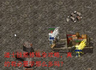 道士技能修炼全攻略,真的有必要学那么多吗? 道士技能修炼全攻略,真的有必要学那么多吗?