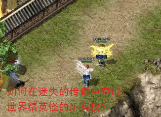 如何在迷失的传奇中夺取世界精英怪的所有权? 如何在迷失的传奇中夺取世界精英怪的所有权?