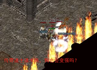 传奇道士道术高,狗也会变强吗? 传奇道士道术高,狗也会变强吗?