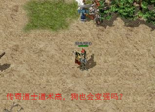 传奇道士道术高,狗也会变强吗? 传奇道士道术高,狗也会变强吗?