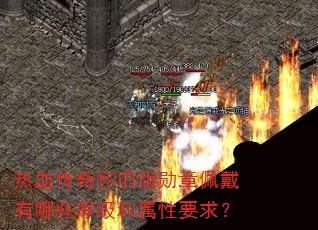 ��Ѫ���滳�ɰ�ѫ���������Щ�ȼ�������Ҫ��