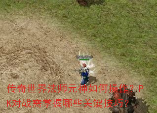 传奇世界法师元神如何操作?PK对战需掌握哪些关键技巧? 传奇世界法师元神如何操作?PK对战需掌握哪些关键技巧?