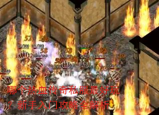 �ĸ���Ѫ����˽������棿�������Ź���ȫ����