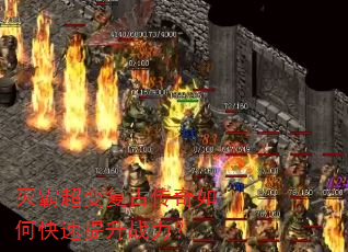 ��Գ��临�Ŵ�����ο�������ս����
