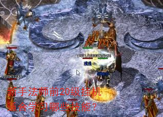 ���ַ�ʦǰ20���һ��ʺ�ѧϰ��Щ���ܣ�