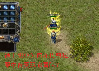 ��ʿְҵΪ���ڴ���˽���б������������