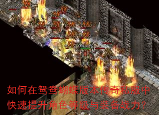 �����ԧ������汾����˽���п���������ɫ�ȼ���װ��ս����