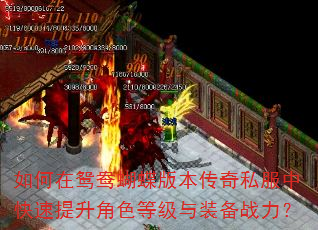 �����ԧ������汾����˽���п���������ɫ�ȼ���װ��ս����