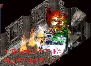 ��ο���������ְҵ�߿Ƽ������ɫս������