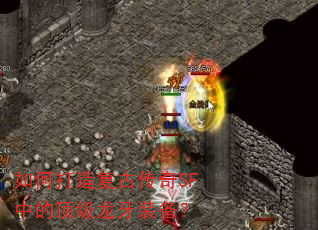 ��δ��츴�Ŵ���SF�еĶ�������װ����