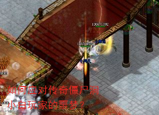 ���Ӧ�Դ��潩ʬ��С����ҵ�ج�Σ�