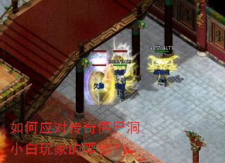 ���Ӧ�Դ��潩ʬ��С����ҵ�ج�Σ�