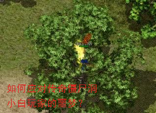 ���Ӧ�Դ��潩ʬ��С����ҵ�ج�Σ�