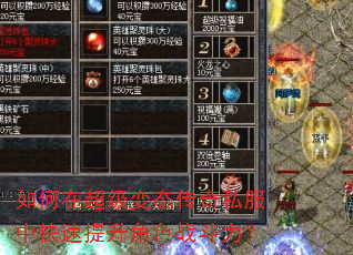 ����ڳ�����̬����˽���п���������ɫս������