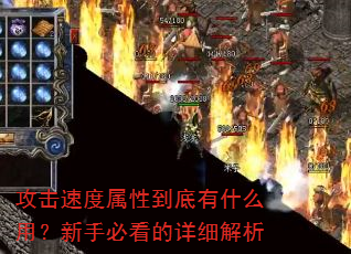 �����ٶ����Ե�����ʲô�ã����ֱؿ�����ϸ����