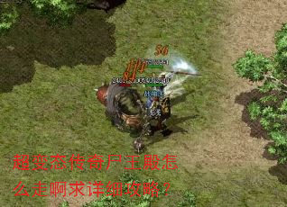超变态传奇尸王殿怎么走啊求详细攻略? 超变态传奇尸王殿怎么走啊求详细攻略?
