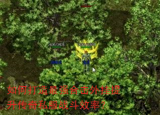 如何打造最强合击外挂提升传奇私服战斗效率? 如何打造最强合击外挂提升传奇私服战斗效率?