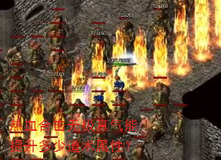 ��Ѫ�ϻ��޼��������������ٵ������ԣ�