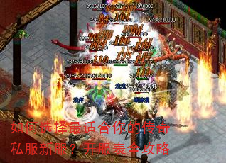 如何选择最适合你的传奇私服新服?开服表全攻略 如何选择最适合你的传奇私服新服?开服表全攻略