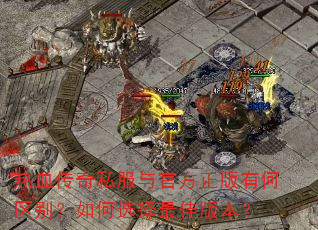 ��Ѫ����˽����ٷ������к��������ѡ����Ѱ汾��