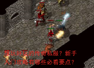 想玩好玩的传奇私服?新手入门攻略有哪些必看要点? 想玩好玩的传奇私服?新手入门攻略有哪些必看要点?