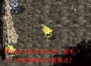 想玩好玩的传奇私服?新手入门攻略有哪些必看要点? 想玩好玩的传奇私服?新手入门攻略有哪些必看要点?