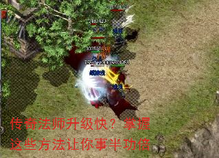 ���淨ʦ�����죿������Щ���������°빦��