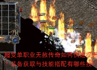 ���䵥ְҵ���⴫����ο�������ս����װ����ȡ�뼼�ܴ�������Щ���ɣ�