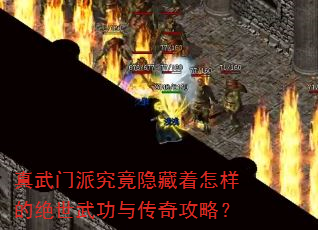 �������ɾ��������������ľ����书�봫�湥�ԣ�